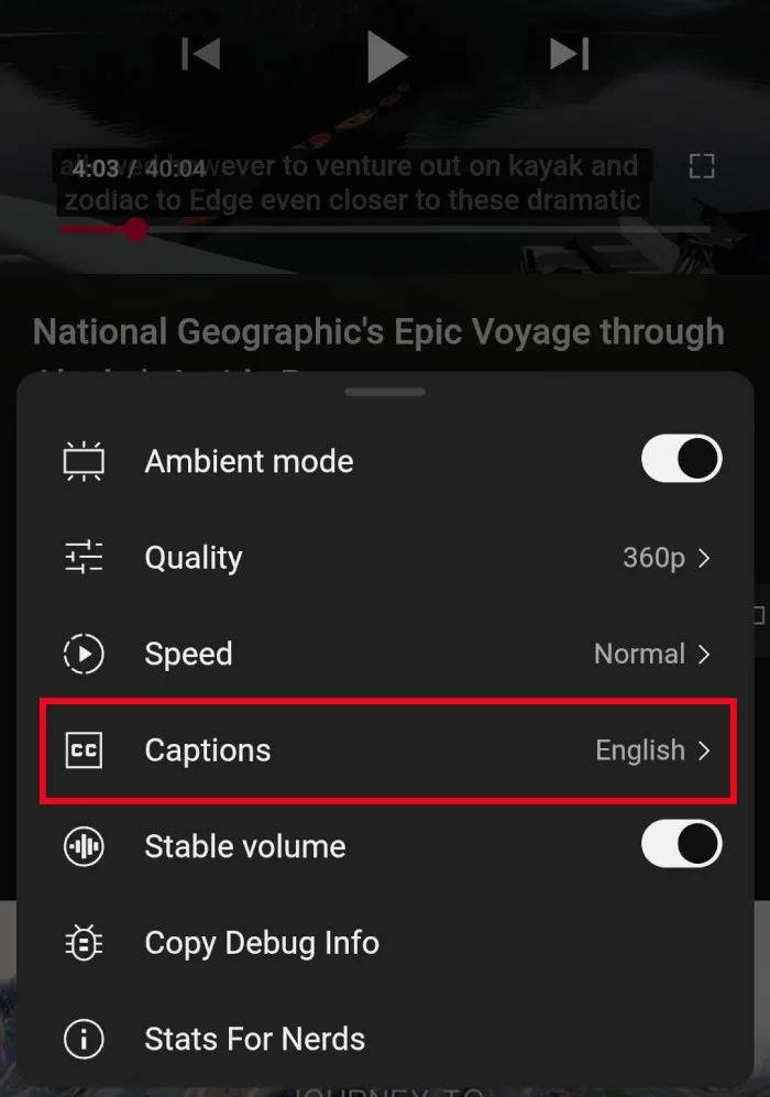  منوی تنظیمات یوتیوب روی یک ویدیو باز شده است. گزینه “Captions” که برای انتخاب زبان زیرنویس است با کادر قرمز مشخص شده است.