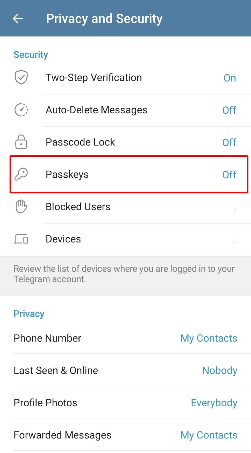  صفحه Settings تلگرام را نشان می‌دهد که در آن گزینه‌های مختلف تنظیمات دیده می‌شود. بخش Privacy and Security با یک کادر قرمز مشخص شده تا کاربر راحت‌تر بتواند آن را پیدا کند.