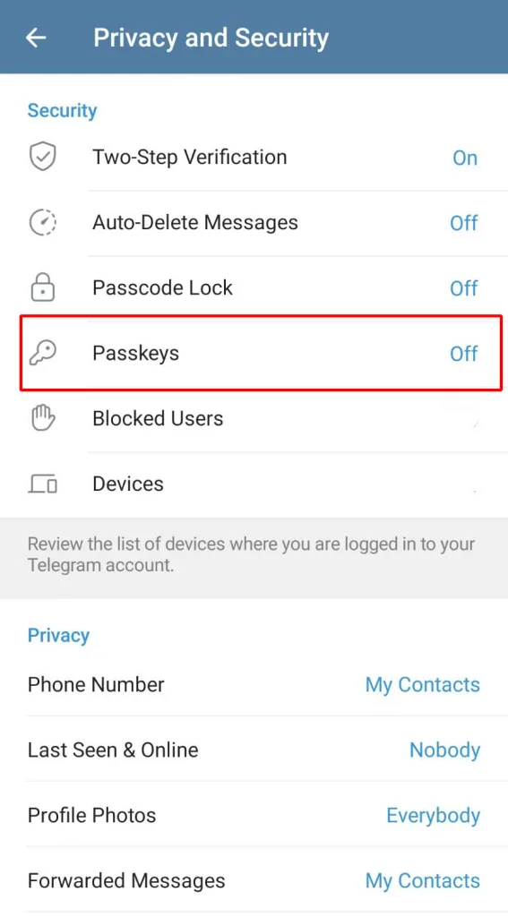 صفحه Settings تلگرام را نشان میدهد که در آن گزینههای مختلف تنظیمات دیده میشود. بخش Privacy and Security با یک کادر قرمز مشخص شده تا کاربر راحتتر بتواند آن را پیدا کند.