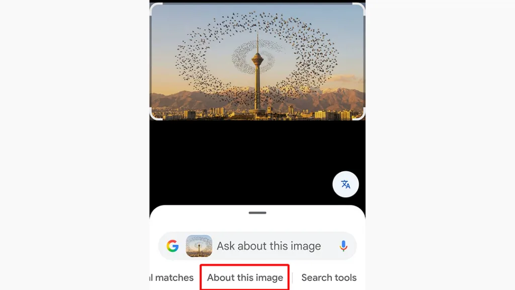  گزینه «درباره این تصویر» (About this image) در اپ Google Lens